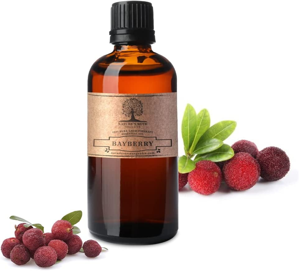 Bayberry Essential Oil 100 Pure Aromatherapy Grade Essential oil by Nature's Note Organics