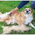 thumbnail image 3 of FrostHike Upgraded Undercoat Rake for Dogs, Cat Dematting Tool, Perfect Deshedding Brush and Grooming Rake for Tangles, Knots or Mats Removal, Blue and Black, 3 of 5