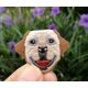 thumbnail image 4 of 16 pegatinas de tela con parche bordado de perro lindo para niños Rojo Verde MX-0128115FYD, 4 of 5