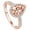 Z-Rose Gold, variant on Gold Ring Silver Birthstone Rings For Women Non Tarnish Trendy Stackable Gold Rings Gold Jewelry For Women Gift Initial Ring(Black,6)