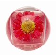 thumbnail image 3 of Brillo de Labios Duo Blossom - Rojo, 3 of 3