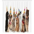 thumbnail image 3 of Dog and Cat Shower Curtain, Image of Group of Party Animals in Funky Colorful Hats Print, Fabric Bathroom Set with Hooks, 69W X 75L Inches Long, Charcoal Grey and Multicolor, by Ambesonne, 3 of 3
