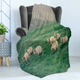 thumbnail image 4 of Farm Animal Soft Flannel Fleece Blanket, Husbandry Themed Photo with Sheep Grazing on Grass in Iceland Nature, Cozy Plush for Indoor and Outdoor Use, 50" x 70", Ecru and Fern Green, by Ambesonne, 4 of 5