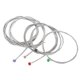 thumbnail image 2 of 5 piezas de cuerdas de bajo con punta de bola de colores G D A E B 5 notas Accesorio de instrumento de metal, 2 of 10