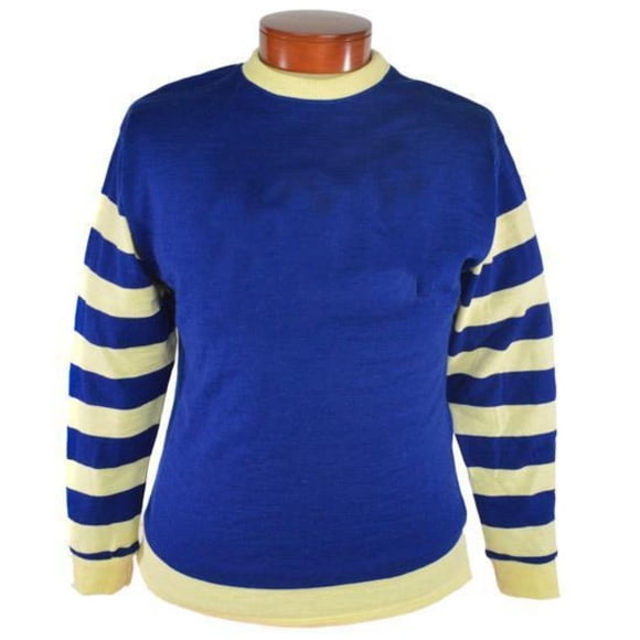 Aisport Sporty Cotton, Polyester Long Sleeve With Hoodies(Plus Size) XXXL