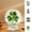 4Pcs Acrylic Shamrock Decoration Under $5 a1, variant on Kadlawus St. Patrick's Day Shamrock Decorations - Durable Acrylic Four Leaf Clover Flat Ornament for Mantel, Tabletop, Shelf, and Festive Home or Office Centerpiece