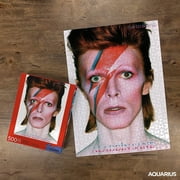 AQUARIUS David Bowie Aladdin Sane Puzzle (500 Piece Jigsaw Puzzle) - Glare Free - Precision Fit - Officially Licensed David Bowie Merchandise & Collectibles - 14 x 19 Inches