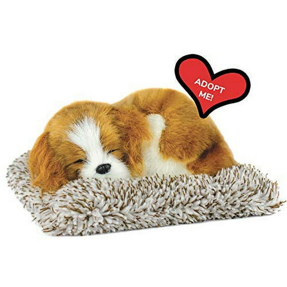 Mini Cavalier King Charlers, Realistic, Lifelike Stuffed Interactive Plush Toy, Electronic Pets, Companion Pet Puppy with 100% Synthetic Fur – Perfect Petzzz