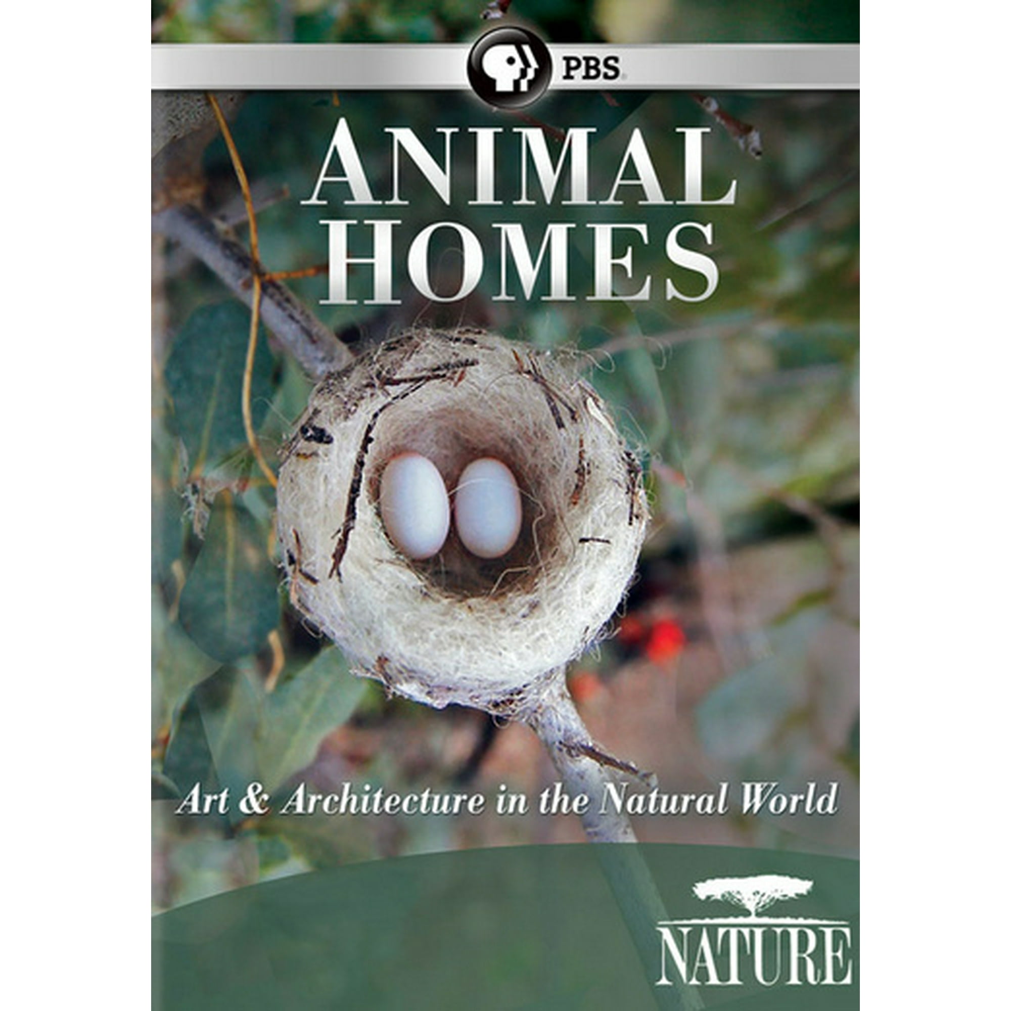 PBS NATURE-ANIMAL HOMES (DVD) DNAT63208D | Walmart Canada