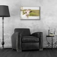 thumbnail image 4 of Epic Art 'Goat at Fence' by Lori Deiter Acrylic Glass Wall Art, 24"x16", 4 of 8