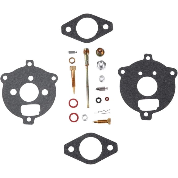 Carb Repair Kit for B S 394693 291763 295938 195432 195435 195436