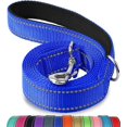 thumbnail image 1 of Jinswick Reflective Dog Leash Dog Training Leash Nylon Braided 4ft 5ft 6ft Heavy Duty with D for Large and Medium Dogs Comfortable for Running Training, 1 of 20