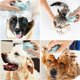 thumbnail image 4 of Brosse de bain pour chiens et chats, distributeur de shampooing et de massage en silicone pour chiens et chats à poils courts et longs (bleu en forme de patte) esquí esquí Gafas de esquí, 4 of 5