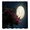 thumbnail image 3 of Ambesonne Moon Shower Curtain, Milky Way Eastern Night, 69"Wx70"L, Magenta Ivory Dark Blue, 3 of 3