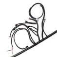 thumbnail image 4 of LS1 4L60E Stand Alone Harness For LS SWAP 4.8 5.3 6.0 97-06 Drive by Cable DBC, 4 of 5