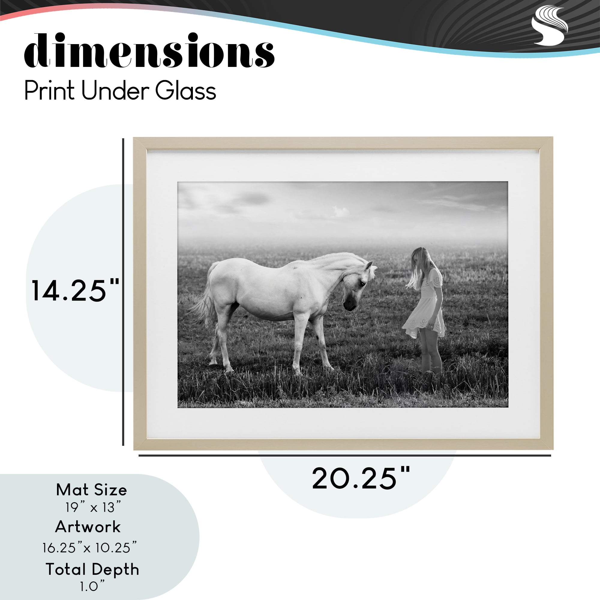 Her White Horse Birch Framed Print Under Glass, design by Ata Alishahi