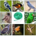 thumbnail image 5 of Bird Protection Net,4 x 10 m Garden Netting Anti-Bird Netting Nylon Protective Net for Plants, 5 of 5