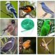 thumbnail image 4 of Red Antipájaros, Red Antipájaros de Jardín de 2x10M, Red Antipájaros de Nylon Red Protectora Protege Plantas, Flores y Verduras, 4 of 5
