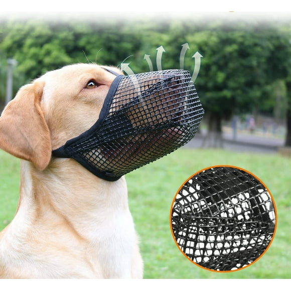 Dog Muzzles That Allow Eating And Drinking