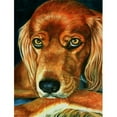 thumbnail image 1 of Carolines Treasures 7315CHF Irish Setter Serious Flag Canvas House Size, 1 of 4