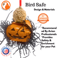 thumbnail image 5 of Bonka Bird Toys 2722 Halloween Pumpkin Pie Sola Atta Chew Shred Parrot Cage Toy, 5 of 6