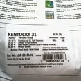 Premium Oregon Grown Kentucky DHF10 31 Tall Fescue Grass Seed (5 LBS