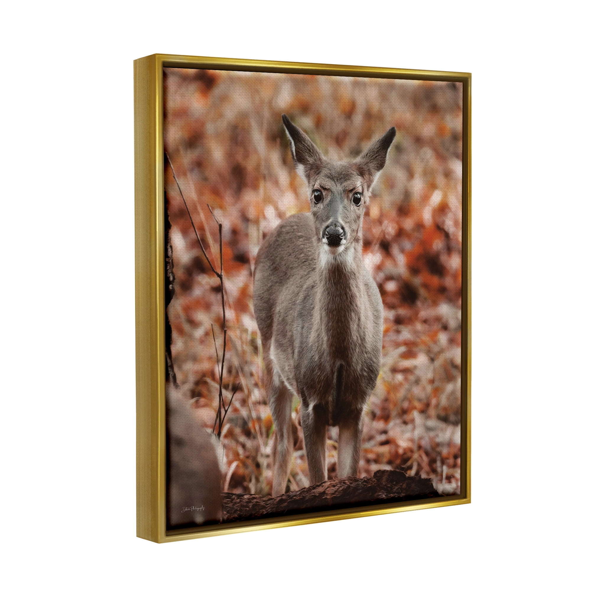 Stupell Industries Fawn in Autumn Nature Animals & Insects Photography Gold Floater Framed Art Print Wall Art, 25 x 31