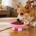thumbnail image 6 of Cat Bowl Anti-Vomiting Tilted Elevated Cat Food Bowl Whisker Friendly Slanted Feeding Bowls with Shallow & Tall Design Pink, 6 of 7