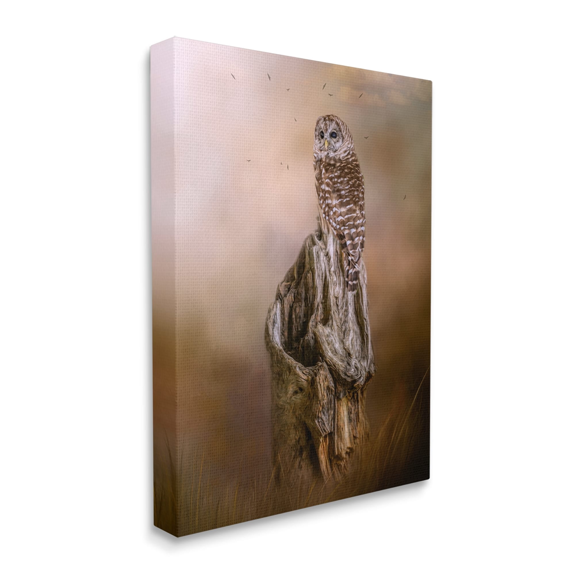 Stupell Barred Owl Perched Tree Trunk Nature Animals & Insects Photography Gallery Wrapped Canvas Print Wall Art