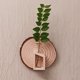 thumbnail image 5 of Decoraciones de Pared de Plantas de Madera Maciza Decoraciones de Pared de Sofá Jarrones Pequeños Montados en la Pared Colgantes de Plantas Hidropónicas, 5 of 6