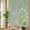 Green, White, Olive, variant on Window Privacy Film for Home Office Static Cling, Yellow Spring Floral Decorative Stained Glass Window Film for Small Windows/Kitchen Windows Elegant Pastoral Flowers 19.6 x 39.3 Inches