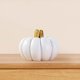 thumbnail image 1 of Soporte para tarjetas de Lugar de calabaza Perfecl soporte para números de mesa blanco, 1 of 8