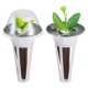 thumbnail image 2 of El juego de cápsulas para plantas de accesorios de jardín hidropónico es adecuado para sistemas de cultivo hidropónicos como Aerogarden., 2 of 10