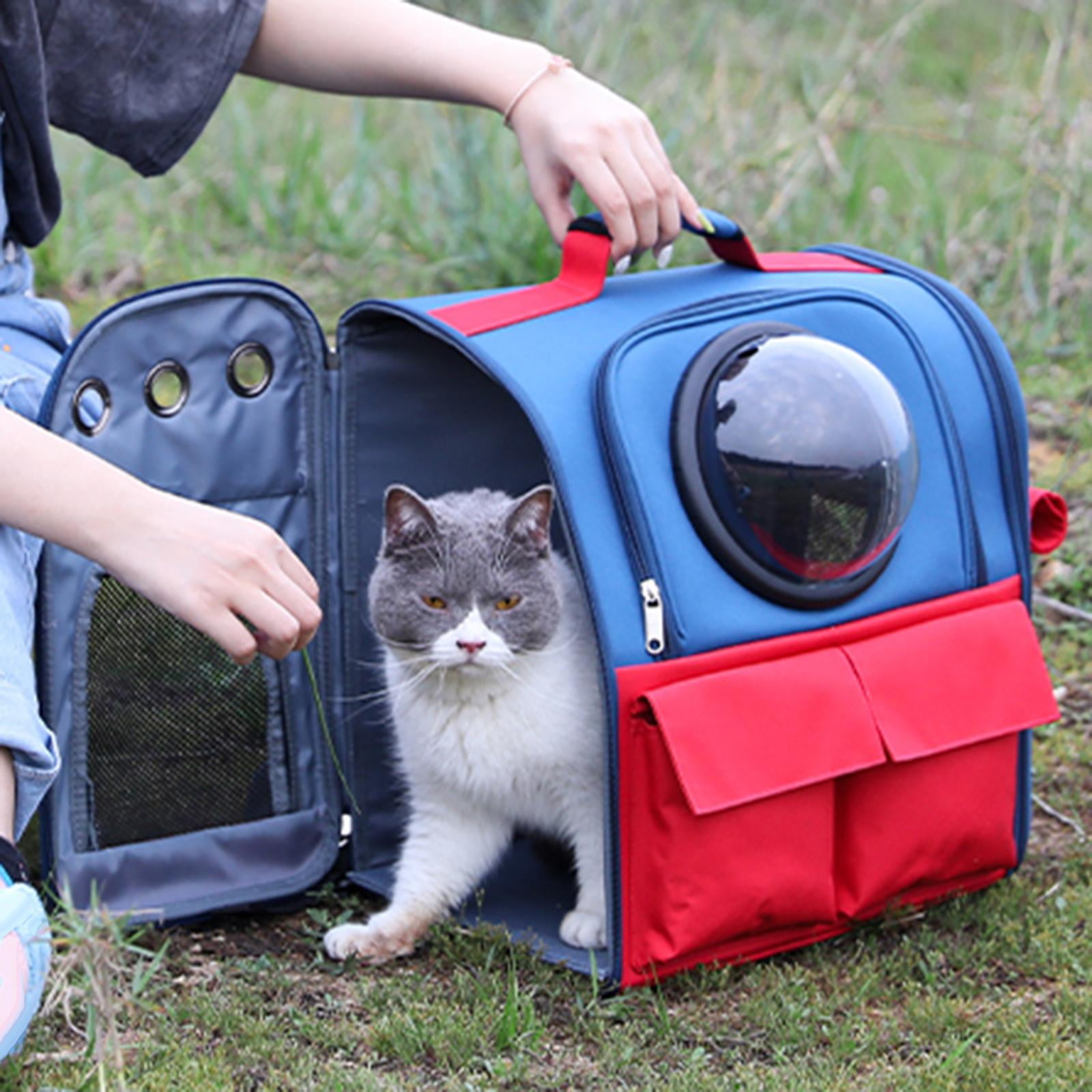 Fzaqwen Foldable Backpack Space Backpack Portable Cat Travel Bag for Walking Outdoor Royal Blue