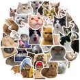 thumbnail image 1 of 50 pegatinas divertidas de gato Meme ZHAOCHENG para niños adolescentes portátiles vinilo impermeables, 1 of 5