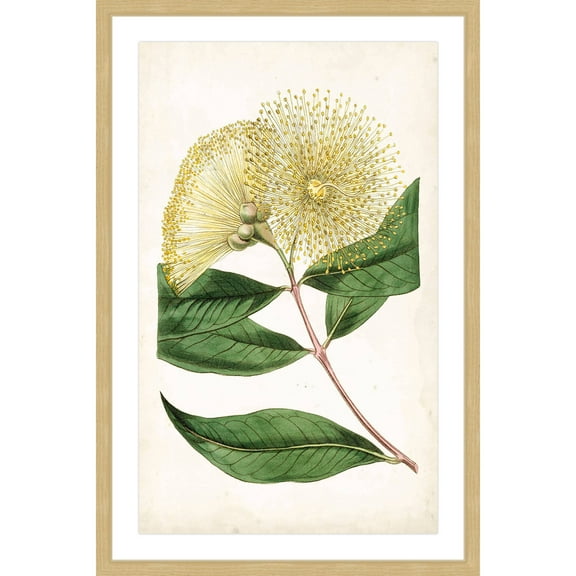 Marmont Hill "Floral Lace I" Framed Painting Print