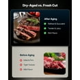 thumbnail image 6 of Upstreman Dry Aging Refrigerator, 98L Stainless Steel Dry Aging Fridge for Steaks, Undercounter Dry Ager Refrigerator, 6 of 8
