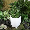 thumbnail image 2 of Sagebrook Home Porcelain, 6" Dia Footed Planter, White, 2 of 3