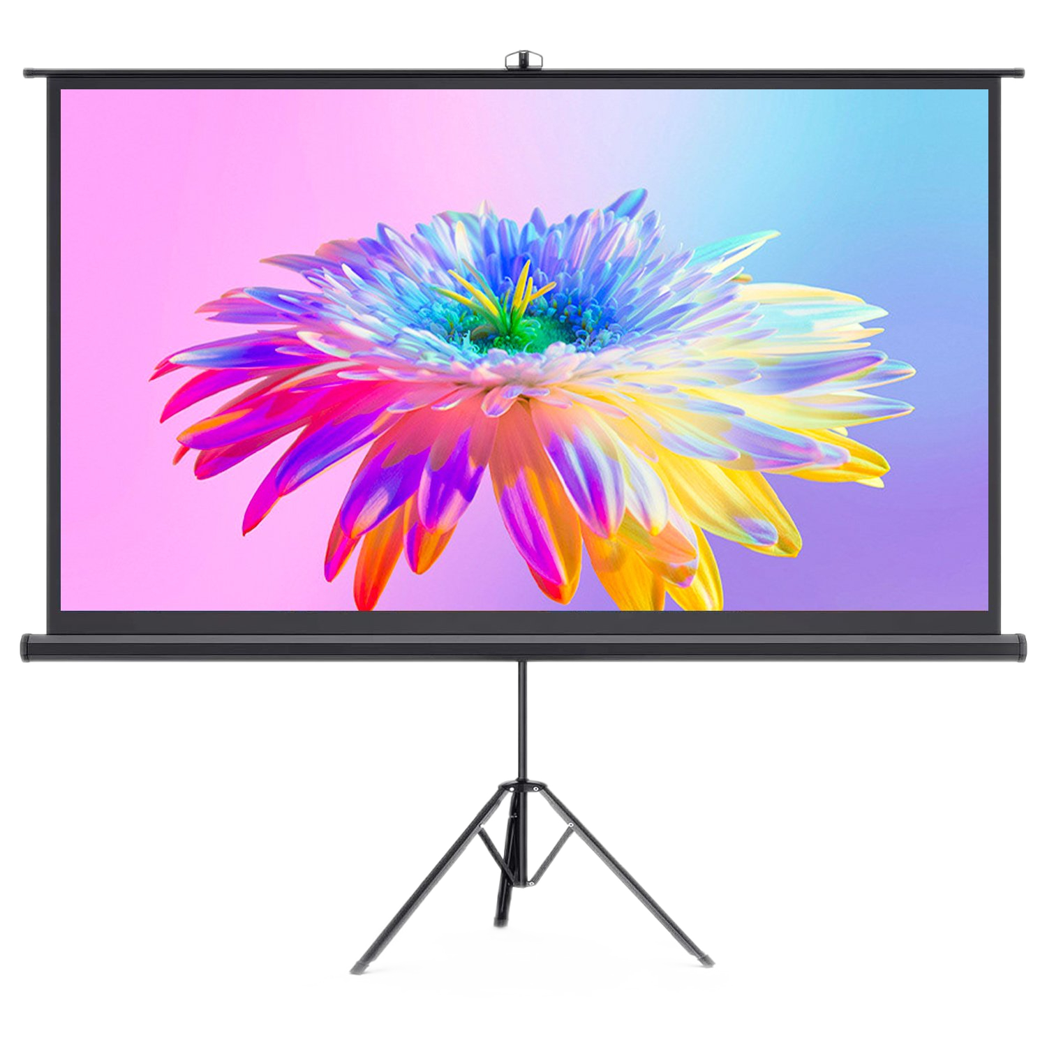 Bomaker 100 Projector Screen with Stand, 16:9 3D 4K Singapore | Ubuy