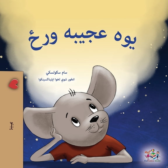 Pashto Bedtime Collection A Wonderful Day (Pashto Children's Book), (Paperback)