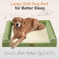 thumbnail image 2 of Cama Grande para Perro NANUYA Ortopédica 66x56 cm Impermeable Verde, 2 of 9