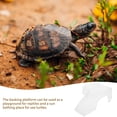thumbnail image 4 of RUNROTOO 2Pack Turtle Basking Ladder ABS Transparent Climbing Exercise for Office Decorations, 4 of 8