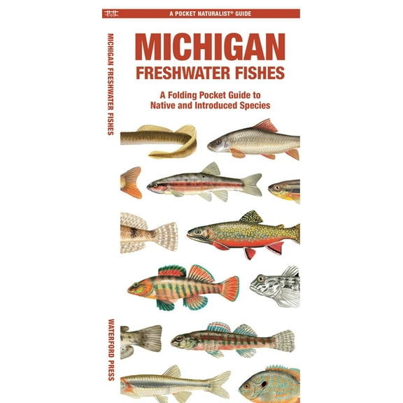 Nature Observation North America Michigan Freshwater Fishes, (Paperback)