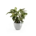 thumbnail image 4 of Ecopots Antwerp Durable Modern Round Indoor/Outdoor Recycled Based Composite Flower Pot Planter, White Grey, 12", 4 of 4