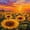 Sunflower Field, variant on 31"x8" Sunflower Field Complete Skateboards for Beginners, Double Kick 7 Ply Maple Deck Sunset Golden Sky Skateboard with Wheels, Gifts for Kids Teens