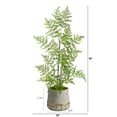 thumbnail image 2 of Nearly Natural 3ft. Ruffle Fern Artificial Tree in Stoneware Planter with Gold Trimming, 2 of 4