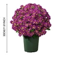 thumbnail image 2 of 10 Pcs Artificial Fall Flowers, Lifelike Fake Silk Mums, UV Resistant Artificial Flowers, Fake Daisy Bouquets, Waterproof Vibrant Floral Picks, Fake Flowers for Outdoor Porch Home Decor, 2 of 5