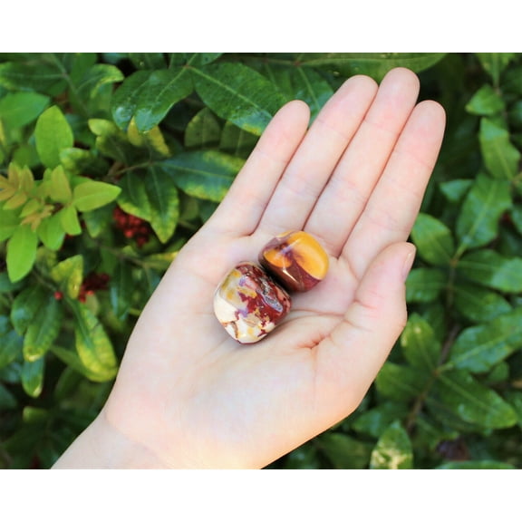 2 Mookaite Jasper Tumbled Stones (Crystal Healing Tumble Mookite Chakra Stone)