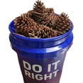 thumbnail image 3 of 12 Pack Pine Cones 4" - 5" Real All Natural Pinecones in Bulk (Unscented) Various Size - Perfect for Arts and Crafts, Home Decor Accent Vase Filler. (4-5 Inch), 3 of 7