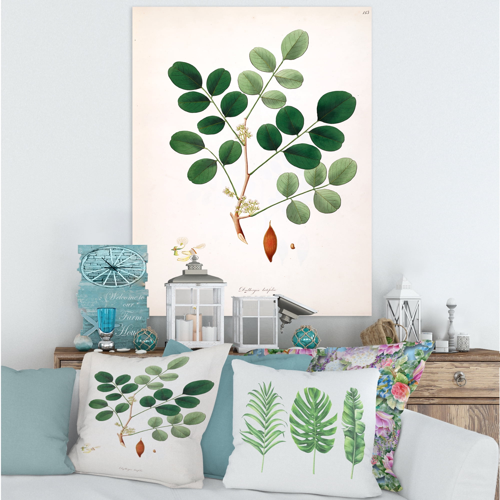 Designart ' Ancient Plant Life XI ' Farmhouse Canvas Wall Art Print